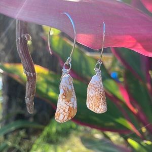 Hawaiian “Textile Cone” shell (remnants) earrings